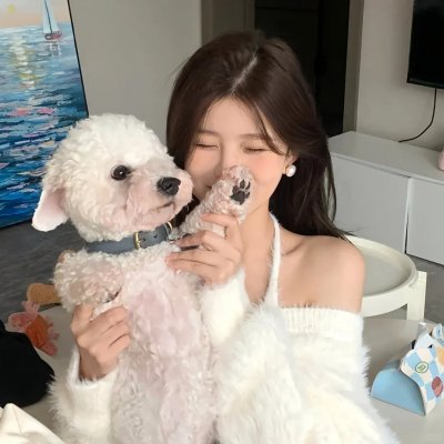 自由鸟